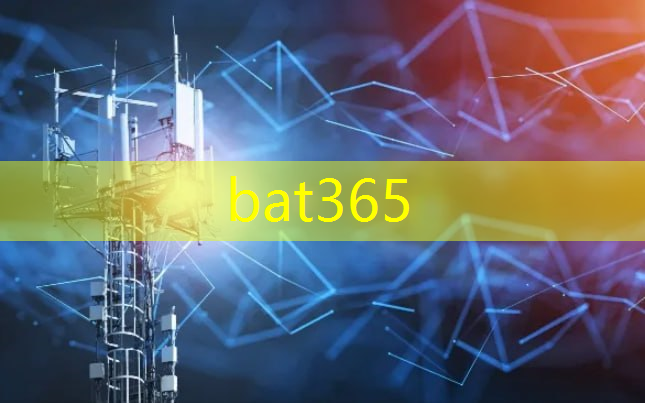 bat365：智慧城市拍卖公告公示