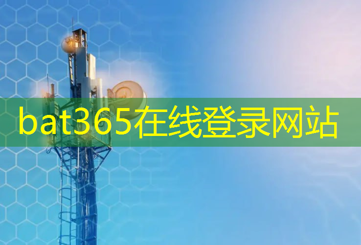 bat365：海德森数字能源